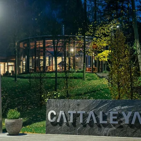 Cattaleya Celadna