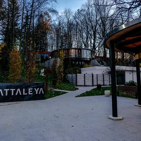 Cattaleya Θέρετρο Čeladná